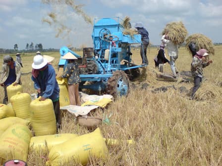 Bộ Công Thương nhận trách nhiệm yếu kém trong điều hành xuất khẩu gạo