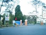 ĐH Đà Lạt: trên 96% điểm Toán dưới 5