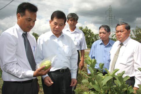 Chủ tịch nước Nguyễn Minh Triết: Viện Nghiên cứu Cây ăn quả miền Nam cần tích cực nghiên cứu lai tạo giống mới có chất lượng, đạt tiêu chuẩn xuất khẩu