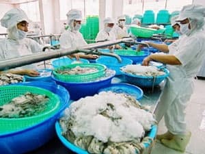 Việt-Đức tăng cường hợp tác kinh tế-thương mại