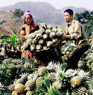 Ký kết chương trình phối hợp hoạt động giai đoạn 2009-2012