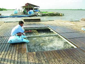 Mở rộng đối tượng được hỗ trợ lãi suất dài hạn