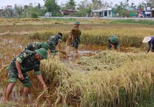 Đoàn kết quân dân chính là sức mạnh
