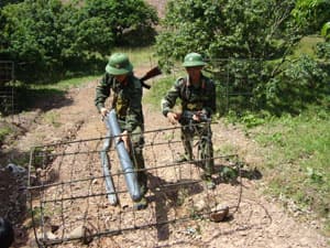 Bắt đầu từ “rèn cán...”