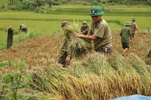 Dân vận khéo