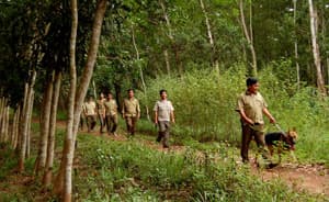 Xây dựng lực lượng dân quân tự vệ ở Tây Ninh (bài 1)
