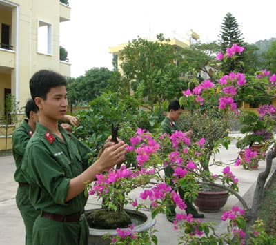 Doanh trại đẹp như... công viên