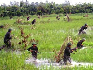 Đồng bộ từ nhận thức đến huấn luyện