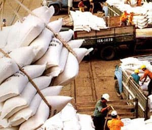 Tháo gỡ những vướng mắc về cơ chế xuất khẩu gạo
