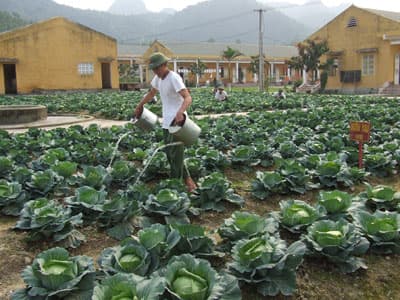 Đơn vị xuất sắc nhất Hội thi “Đơn vị nuôi quân giỏi, Quản lí quân nhu tốt” toàn quân năm 2009