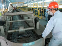 Cho phép thành lập tập đoàn kinh tế tư nhân