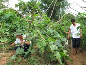 Đẩy mạnh phong trào thi đua “một tập trung, hai khâu đột phá”
