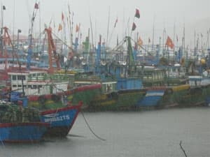 Đề nghị tạo điều kiện cho tàu, thuyền tránh trú ở vùng biển nước ngoài