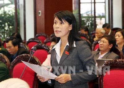 Quốc hội thông qua chủ trương đầu tư hai dự án  điện  quan trọng