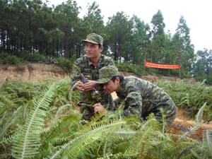 Thế vững Hạ Long