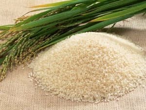 Philippines giảm lượng gạo nhập do giá tăng