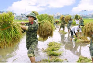 Ngày hội ở miền quê “thóc không thiếu một cân…”