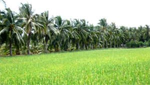 Khí thế mới trên quê hương Đồng Khởi