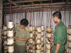Tiếp tục giữ ổn định, nâng cao đời sống bộ đội