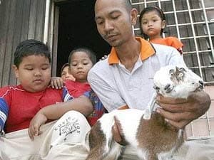 Kết thúc buồn của chú dê có hai đầu ở Malaysia
