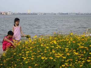 Nhiều chuyển biến tích cực