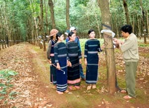 Lòng tin của “công nhân buôn, làng”