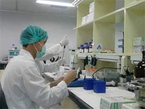 Dịch cúm A (H1N1) đang giảm