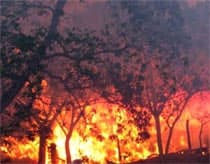 Máy bay đâm nhau trên không, phi công sống sót