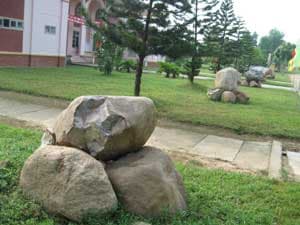 Bộ đội tài hoa