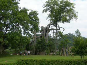 Về với Tân Trào