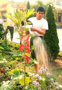 “Cặp bài trùng”
