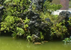 Non bộ ngoài đảo
