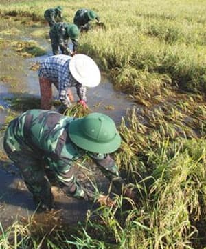 Xung kích trong mùa nước nổi