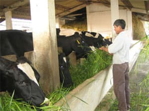 Phân vùng để tổ chức sản xuất hợp lý