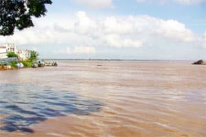 Lũ lên nhanh tại 7 tỉnh ĐBSCL: Tập trung nhiều biện pháp phòng chống lũ