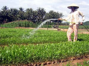 Nậm Khiên hôm nay