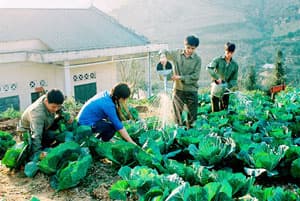Gần 3 tỉ đồng củng cố mô hình “Nuôi quân giỏi, quản lý quân nhu tốt”
