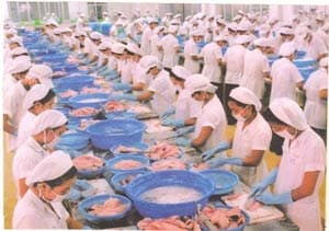 Mỹ tiếp tục gia hạn công bố việc bán phá giá cá tra