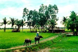 Kỷ niệm về những con đường
