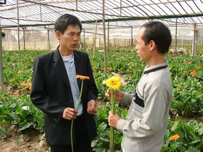 Cần có chiến lược lâu dài