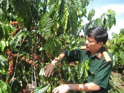 Sức sống ở “Ngã ba Đông Dương”