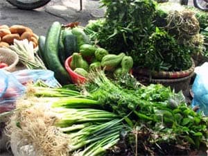 Miền Bắc: Giá rau xanh tăng vùn vụt