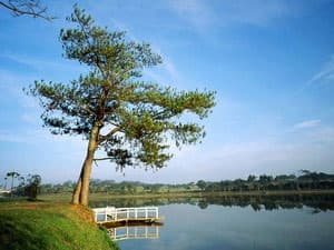Quai đê tích nước hồ Xuân Hương có nguy cơ bị vỡ