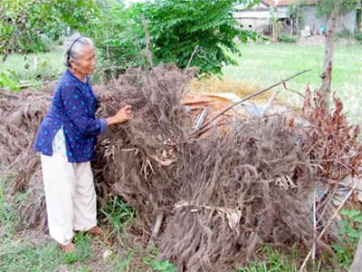 Báu vật của làng