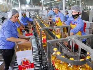 Quảng Ninh: Hơn 100 dự án nước ngoài còn hiệu lực