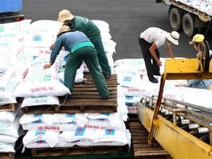 Đề nghị Chính phủ tạm ngưng xuất khẩu phân bón