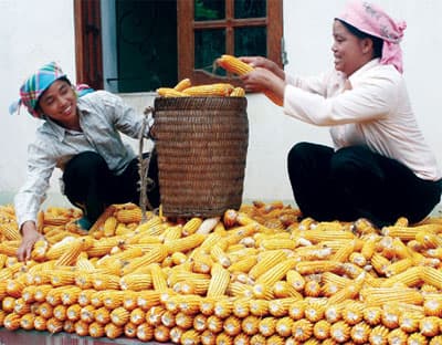 “Màu mới” ở căn cứ cách mạng Mường Bo