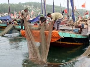 Cứu hộ ba tàu cá Bình Định gặp sự cố trên biển