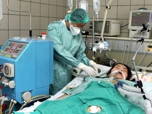 Việt Nam không xuất hiện ca nhiễm cúm H5N1 mới