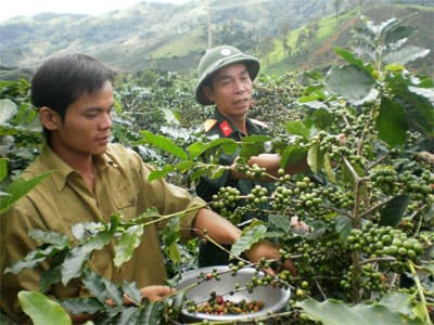 Đỡ đầu để... xóa nghèo